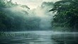 Amazon river in the middle of the forest with fog in Latin America, Colombia, Venezuela, Brazil, Ecuador. in high resolution and high quality. landscape concept