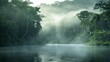 Amazon river in the middle of the forest with fog in Latin America, Colombia, Venezuela, Brazil, Ecuador. in high resolution and high quality. landscape concept, vacation