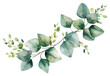 PNG Eucalyptus floral wreath plant leaf white background.