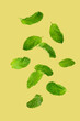 Falling mint leaves or spearing mint isolated on yellow background.