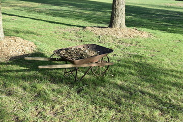 Poster - Wheelbarrow and Trees in a Yard