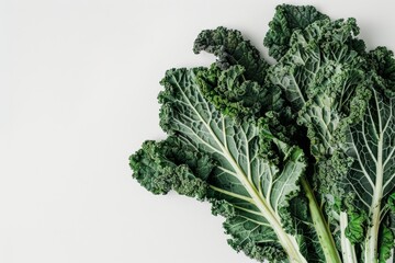 Bundles of various types of organic kale on white background