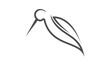 Simple long beaked birds illustration design vector