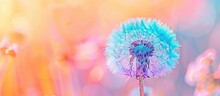 Vibrant Abstract Dandelion Flower Against A Colorful Pastel Backdrop, Captured In Extreme Closeup With A Gentle Blur, Showcasing Intricate Natural Elements And A Minimal Depth Of Field.
