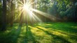 Beautiful spring time view with sunlight between trees in the green forest. AI generated image
