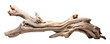 PNG Driftwood plank white background sculpture nature.
