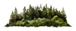 PNG Forest vegetation outdoors woodland. AI generated Image by rawpixel.