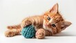 Cute orange kitten with large paws playing with a toy on a white background.