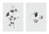 Fototapeta Sypialnia - Leaves poster template, black and white ginkgo leaf branch on grey