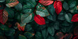 red and green leaves