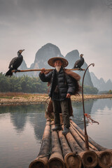 Wall Mural - A traditional cormorant fisherman works on the Li River Yangshuo, China.