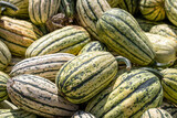Fototapeta Tęcza - Many green and yellow striped pumpkins of different sizes. Background