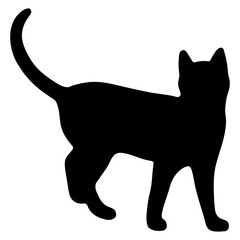 Wall Mural - Cat shadow single 32 cute, png illustration.