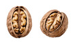 two walnuts isolated on transparent background