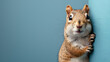 Surprised squirrel Sciurus cautiously peeks around a corner, generative Ai