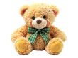 Teddy bear on a white background, PNG file
