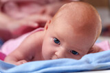 Fototapeta  - Innocent Gaze of a Newborn, Confident Eyes Exploring the World at Two Months