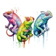 Colorful Chameleons: Vibrant chameleons in various poses and colors