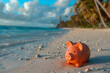 Piggy Bank On The Beach Holiday