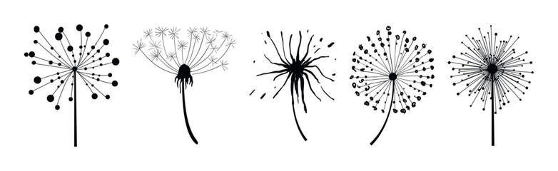 Wall Mural - Black Dandelion Flower on Stem with Fluffy Head Vector Set