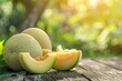 Sliced Japanese melons on wooden table with blurred garden background a favored summer fruit Food fruit and health concept