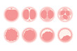 Stages of Embryo Development. Educational medical information. Flat vector illustration.