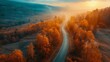 Aerial view of mountain road in forest at sunset in autumn. Top view from drone of road in woods. Beautiful landscape with roadway in hills, pine trees, green meadows,