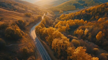 Poster - Aerial view of mountain road in autumn forest at sunset in Ukraine. Top view from drone of road in woods. Beautiful landscape with roadway