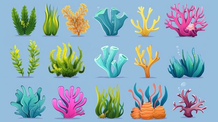 Wall Mural - Various colorful marine algae and oceania sponges. Underwater ocean and aquarium plants and creatures. Wildlife natural seabed plants.