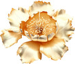 fantasy peony flower made of gold isolated on white or transparent background,transparency
