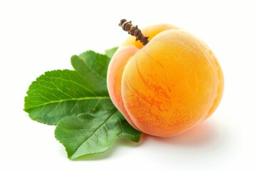 Sticker - Apricot with leaf on white background