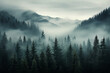 	
Dense morning fog in alpine landscape with fir trees and mountains.	
