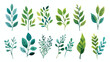 Green leaf decorations set. Natural leaves of foliage