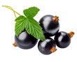 Berries black currant with green leaf fresh