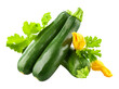 Fresh zucchini vegetables with green leaves and yellow flowers. Organic natural food. Isolated. PNG.