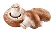 Fresh mushrooms champignon isolated. Organic natural food. PNG.
