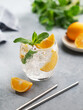 Lemonade tonic drink with fresh lemon, mint and ice on a light background with herb and fruits.