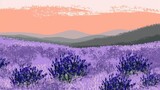 Fototapeta Lawenda - Amazing blooming landscape with purple lavender fields in summer in France