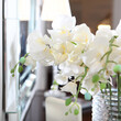 An orchid branch in a glass vase. A bouquet of white orchids in the interior. A vase with beautiful orchid flowers on the dresser in the living room.
