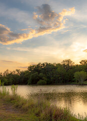 Wall Mural - dramatic sunset clouds reflection along a treelined horizon. photo taken on woodlawn lake in san ant