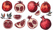 Pomegranate hand drawn setCollection on white background