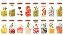 Spices In Jars Big Set.Collection Flat Illustration.