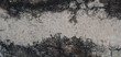 Dirty Grunge Concrete wall texture background blank for design.