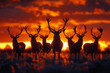 A depiction of stags during the rut illuminated by the golden light of sunset, their silhouettes dra