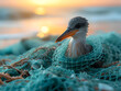 Seagull standing on a pile of discarded fishing net on a pebbly beach. Environmental issue and marine life hazard concept for conservation and awareness campaigns