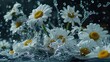 Flowers splash beautiful postcard or place for a subject  ,Generative ai, 