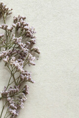 Wall Mural - Close up of dried statice flowers on old paper background with copy space.