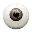 © Rawpixel.com - Human eyeball png sticker, transparent background