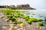 Fototapeta Pomosty - Beautiful seaside landscape on the Atlantic Ocean in France, sandy beach with stones.