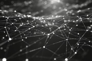 Poster - This black and white photo captures the intricate web of connections and interactions within a network, Artistic image of a cyber network in black and white, AI Generated